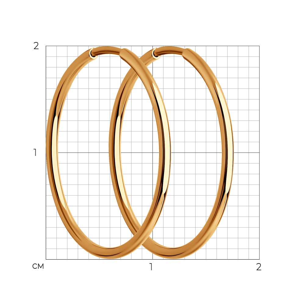 Серьги 140002 d 20 мм