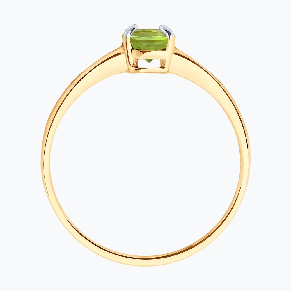 Кольцо 51-310-01933-1