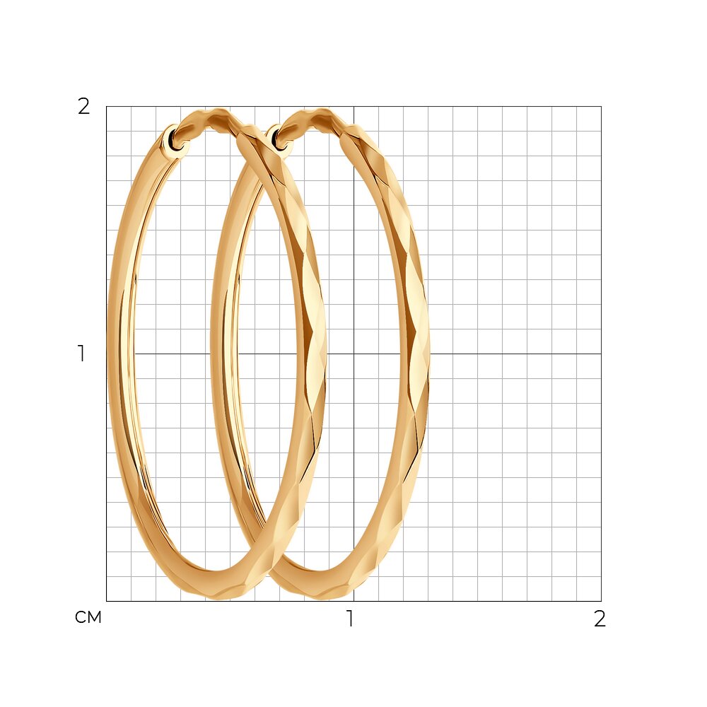 Серьги 140007 d 20 мм